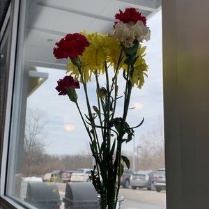 Meet your Posher, Justin